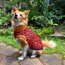 画像をギャラリービューアに読み込む, DAISY