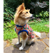 画像をギャラリービューアに読み込む, MILO