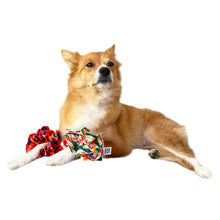 画像をギャラリービューアに読み込む, シュシュ COCO - 'WIGGLY CHECKERS'