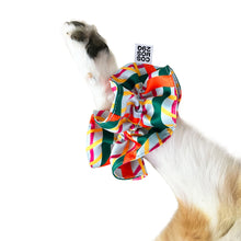 画像をギャラリービューアに読み込む, シュシュ COCO - 'WIGGLY CHECKERS'