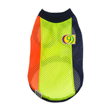 画像をギャラリービューアに読み込む, SOL - マルチカラー