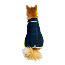 画像をギャラリービューアに読み込む, ALFIE - ブルー