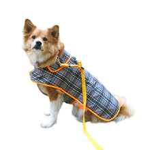 画像をギャラリービューアに読み込む, ALFIE - グレー