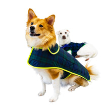 画像をギャラリービューアに読み込む, ALFIE - ブルー