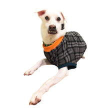 Load image into Gallery viewer, SIRIUS - Grey