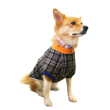 Load image into Gallery viewer, SIRIUS - Grey