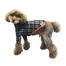 Load image into Gallery viewer, NORMA - Grey