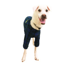 画像をギャラリービューアに読み込む, NORMA - ブルー