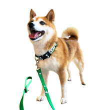 Load image into Gallery viewer, Collar LUNA - Green