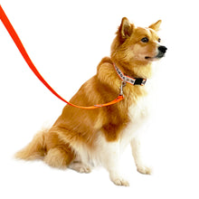 Load image into Gallery viewer, Collar LUNA - Neon Orange