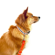 Load image into Gallery viewer, Collar LUNA - Neon Orange