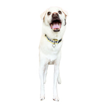 Load image into Gallery viewer, Collar LUNA - Yellow