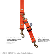 画像をギャラリービューアに読み込む, リード BUDDY 付属 - Extra End