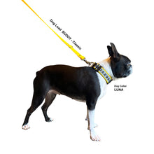 画像をギャラリービューアに読み込む, リード BUDDY - Classic