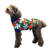 画像をギャラリービューアに読み込む, LYRA - 'CLOUDS'