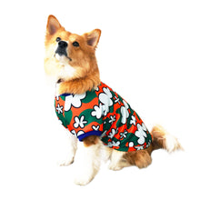 画像をギャラリービューアに読み込む, LYRA - 'CLOUDS'