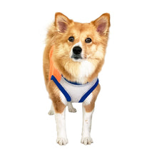 画像をギャラリービューアに読み込む, POLLUX - オレンジ