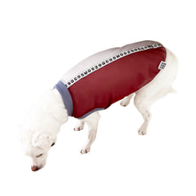 画像をギャラリービューアに読み込む, POLLUX - バーガンディ