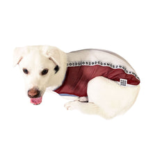 画像をギャラリービューアに読み込む, POLLUX - バーガンディ