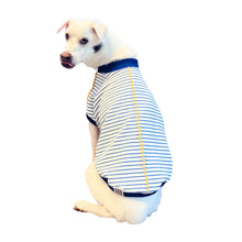 画像をギャラリービューアに読み込む, SORA