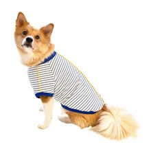 画像をギャラリービューアに読み込む, SORA