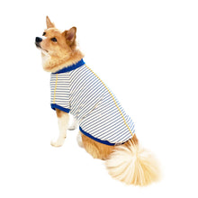 画像をギャラリービューアに読み込む, SORA