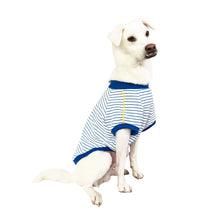 画像をギャラリービューアに読み込む, SORA