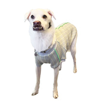 Load image into Gallery viewer, CARINA