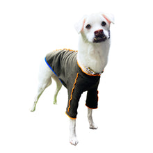 Load image into Gallery viewer, LUPO