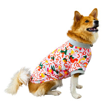 画像をギャラリービューアに読み込む, NOVA - 'WAN RUN SUN'