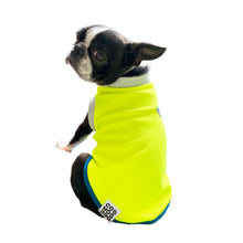 画像をギャラリービューアに読み込む, CAPELLA - ネオンイエロー