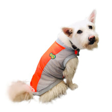 Load image into Gallery viewer, SOL - Neon Orange