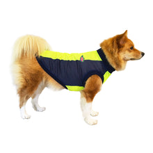 画像をギャラリービューアに読み込む, SOL - マルチカラー