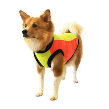 画像をギャラリービューアに読み込む, SOL - マルチカラー