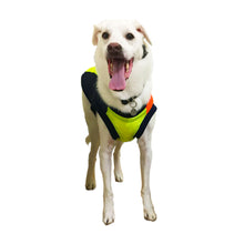 画像をギャラリービューアに読み込む, SOL - マルチカラー