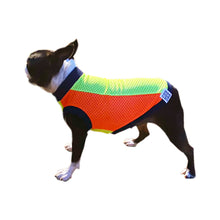 画像をギャラリービューアに読み込む, SOL - マルチカラー