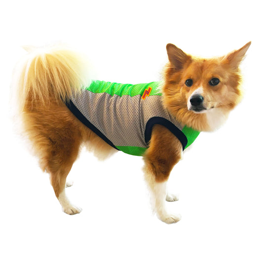 SOL - ネオングリーン