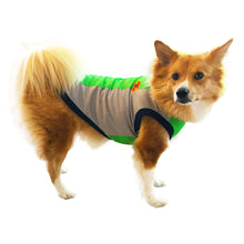 画像をギャラリービューアに読み込む, SOL - ネオングリーン