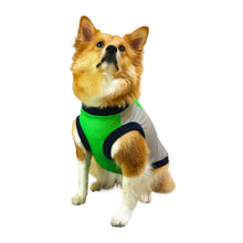 画像をギャラリービューアに読み込む, SOL - ネオングリーン