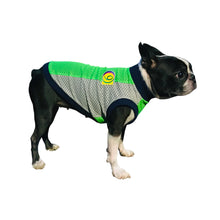 画像をギャラリービューアに読み込む, SOL - ネオングリーン