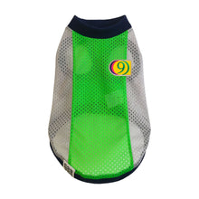 画像をギャラリービューアに読み込む, SOL - ネオングリーン