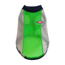 画像をギャラリービューアに読み込む, SOL - ネオングリーン