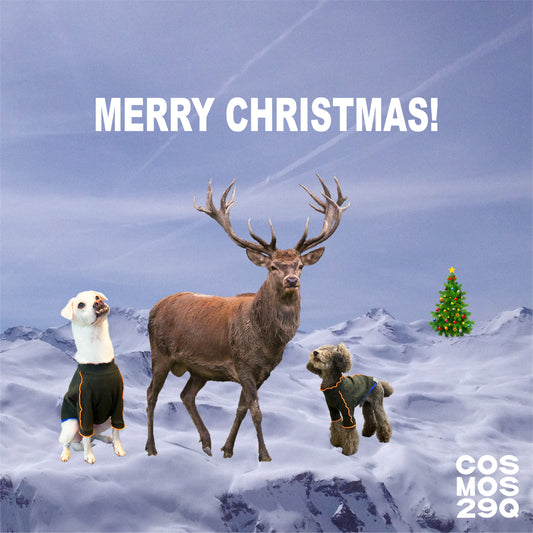 年末年始のお知らせ: HOLIDAY NOTICE