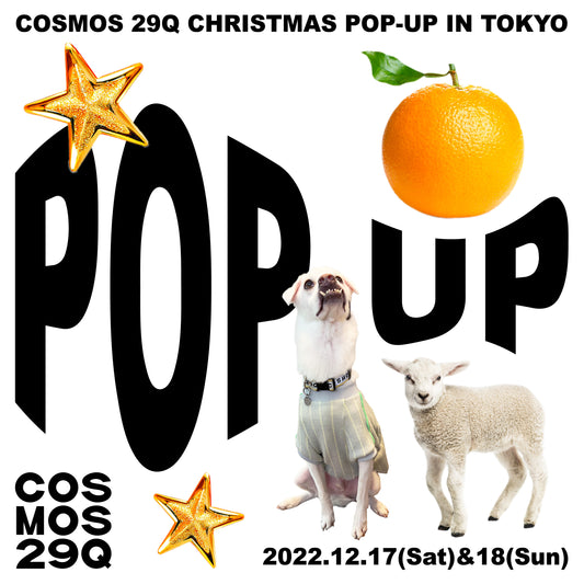 CHRISTMAS POP-UP 2022