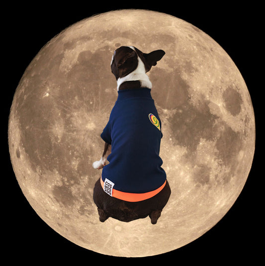 お取り扱い店舗 / SHOP INFO