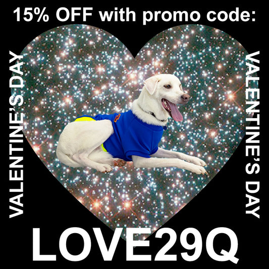 FOR DOGS & DOG LOVERS 💝