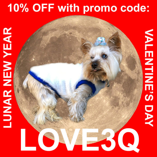 HAPPY LUNAR NEW YEAR & VALENTINE'S DAY!