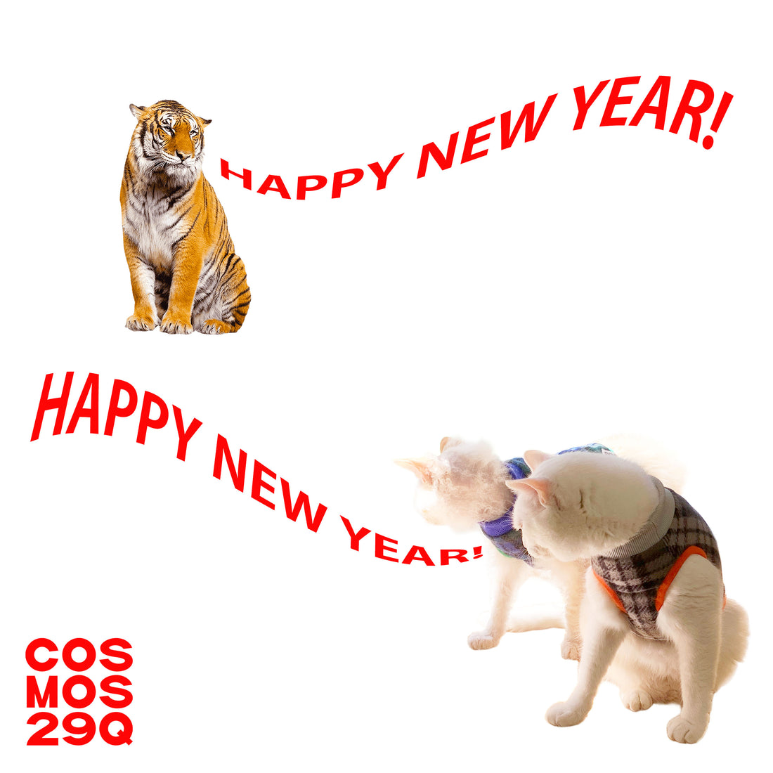 HAPPY NEW YEAR 2022