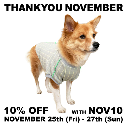 NOVEMBER PROMO: 10% OFF
