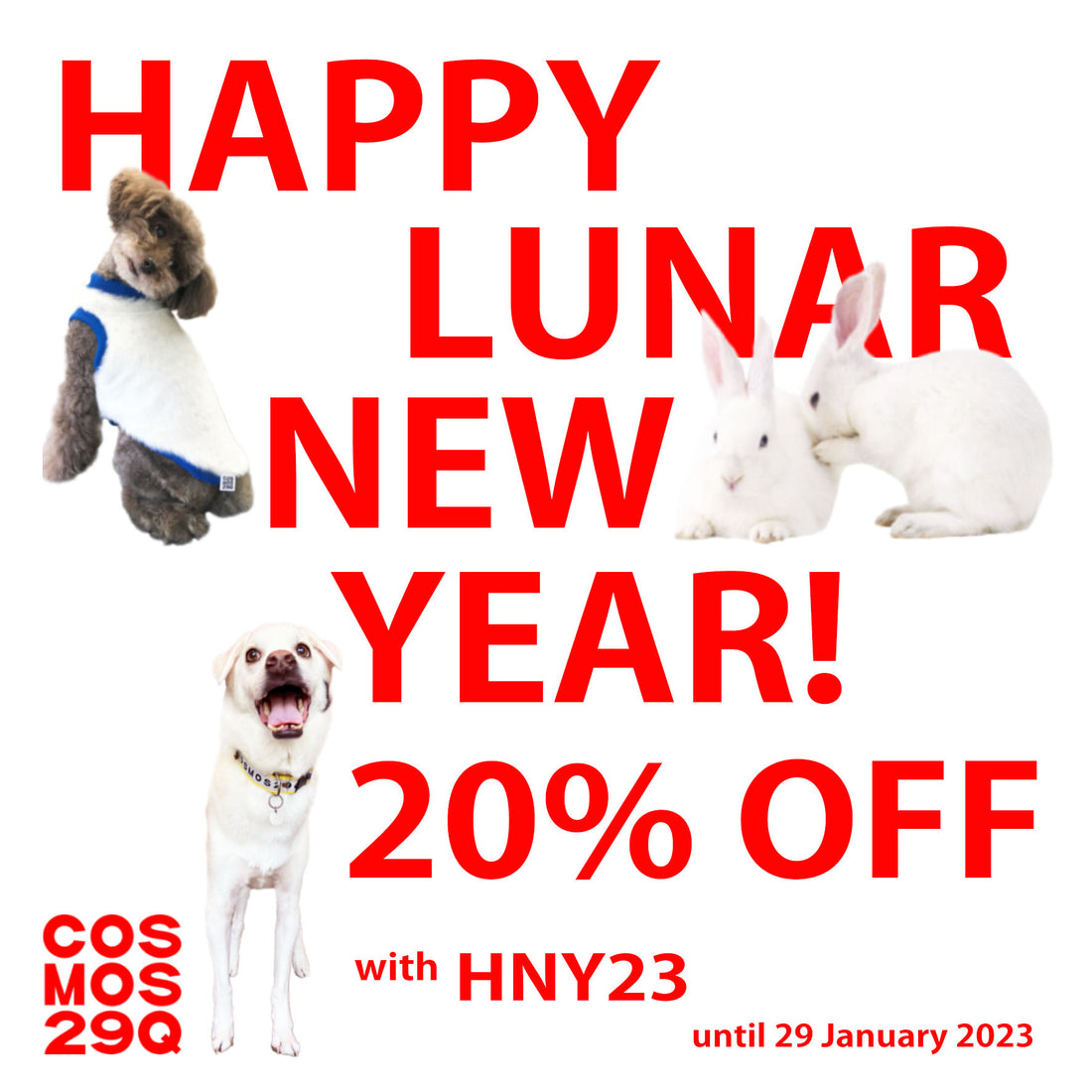 LUNAR NEW YEAR PROMO: 20% OFF